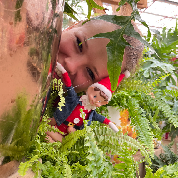 Tukkie de Twentse kerstelf