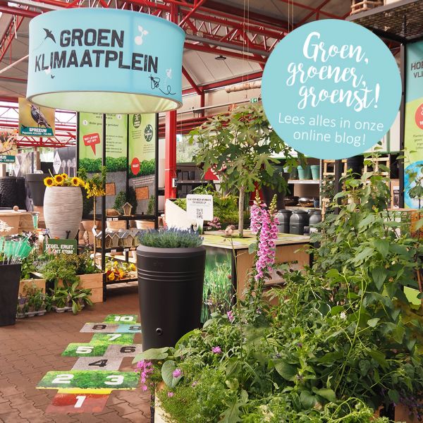 vegetarisch Publicatie Eigendom Groen Klimaatplein - Tuincentrum Borghuis