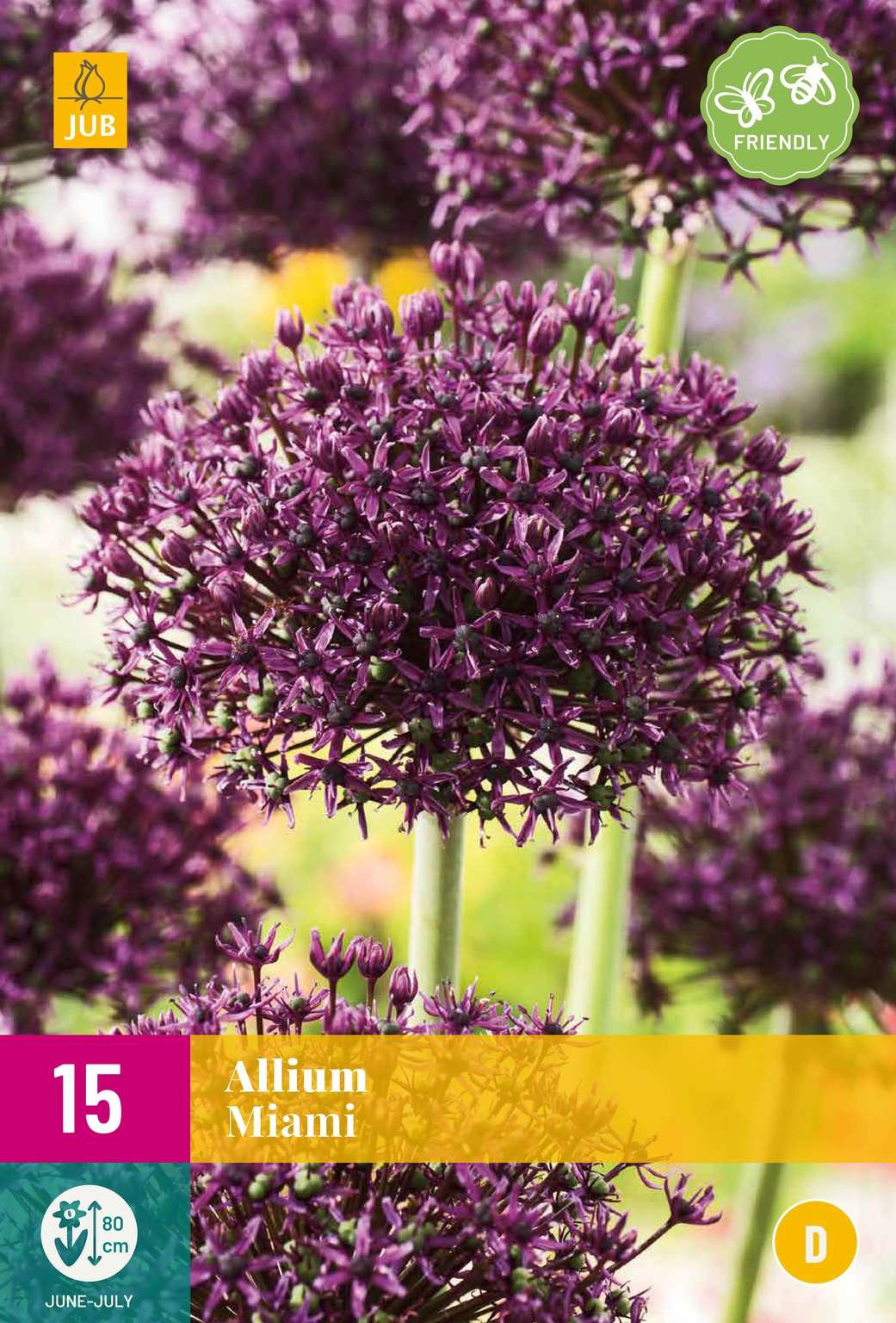 Allium Miami Tuincentrum Borghuis