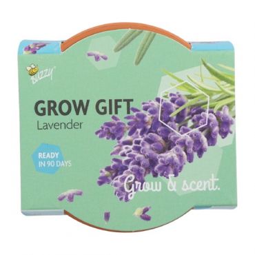 Buzzy® Grow Gift Lavendel - afbeelding 3