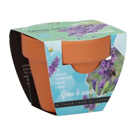 Buzzy® Grow Gift Lavendel - afbeelding 1