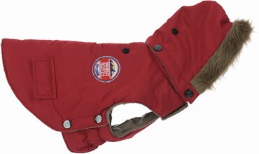 Hondenjas Aspen - red - 24cm - afbeelding 4