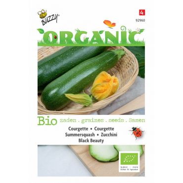 Courgette Black Beauty (BIO)