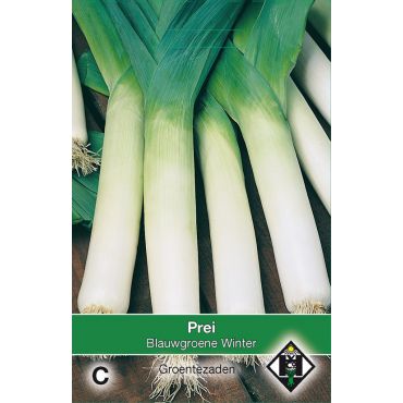 Prei Blauwgroene Winter