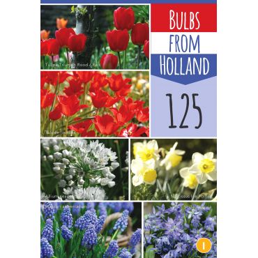 Tas met 125 bollen Bulbs from Holland - afbeelding 2