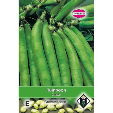 Tuinboon Oscar, 60 gr.